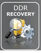 DDR Recovery - Professional